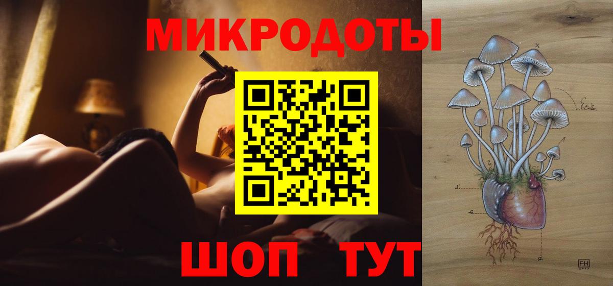 Галлюциногенные грибы Psilocybine cubensis Ликино-Дулёво